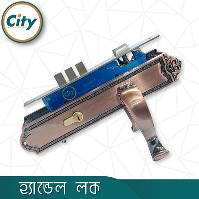 উচ্চ সুরক্ষা স্ট্যান্ডার্ড সাইজের ডোর লক প্রধান দরজার লক অ্যান্টিক রঙের হ্যান্ডেল লক Door Lock_img_2