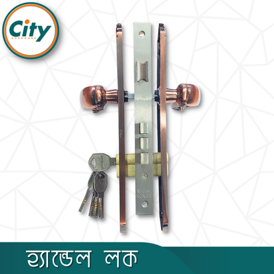 উচ্চ সুরক্ষা স্ট্যান্ডার্ড সাইজের ডোর লক প্রধান দরজার লক অ্যান্টিক রঙের হ্যান্ডেল লক Door Lock_img_3