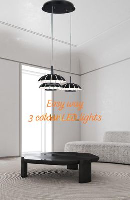 Fancy Light_img_0