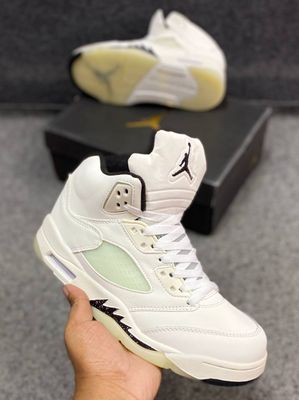 Jordan 5 Retro SE Sail_img_1