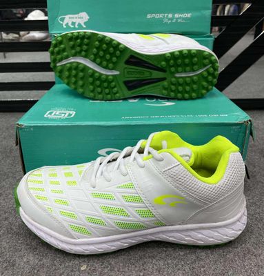 Pro Ase Rabbet Spike (ক্রিকেট বুট)_img_2