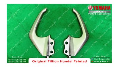 Pillion Handle Painted (Shing) for Yamaha FZS V2 & Fazer V2 bike._img_1