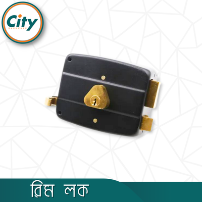 অটো লক সুরক্ষা লক হেভি রিম লক প্রধান দরজার লক ১২ টি চাবি সহ কালো রঙের_img_3