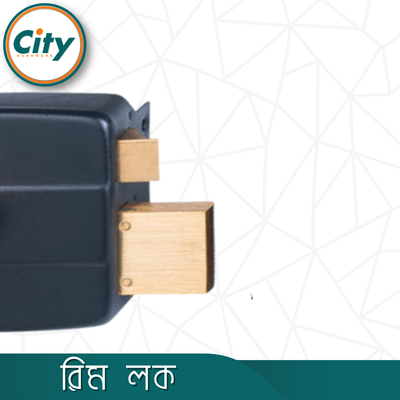 অটো লক সুরক্ষা লক হেভি রিম লক প্রধান দরজার লক ১২ টি চাবি সহ কালো রঙের_img_6