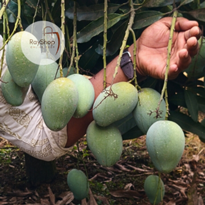 20 kg বারি-৪ | Bari-4_img_1