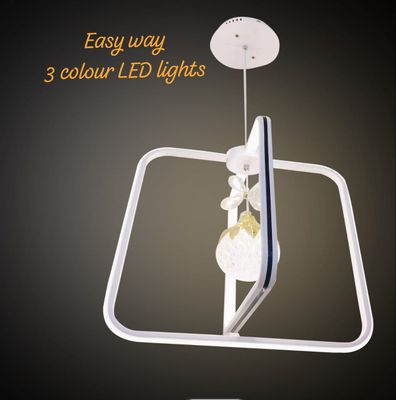 Fancy Light_img_2