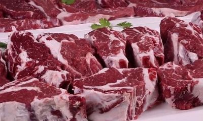 Premium Organic Camel Meat – Mayajal Farm_img_1