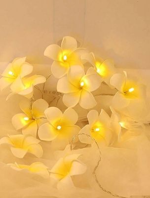 Wood Rose Fairy Light_img_0