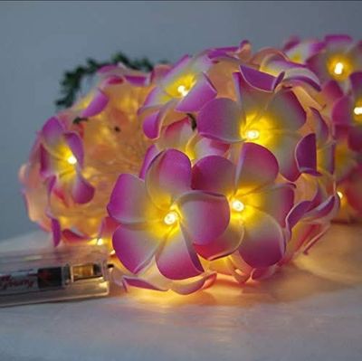 Wood Rose Fairy Light_img_3