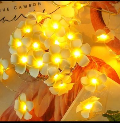 Wood Rose Fairy Light_img_5