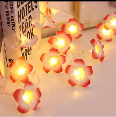 Wood Rose Fairy Light_img_4