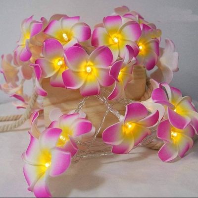 Wood Rose Fairy Light_img_1