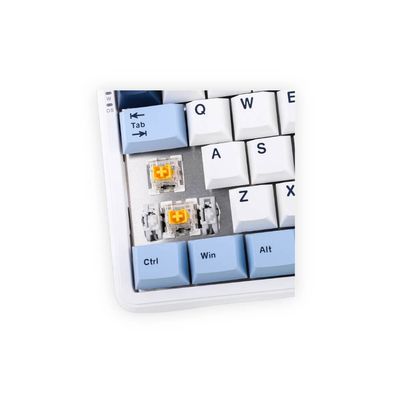AJAZZ AK680 MAX HE Keyboard_img_6