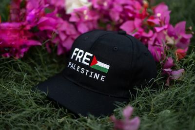 FREE PALESTINE CAP 🇵🇸_img_1