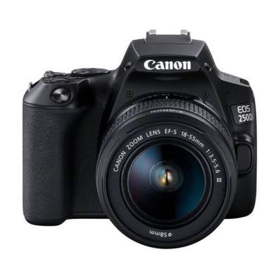 Canon EOS 250D_img_0
