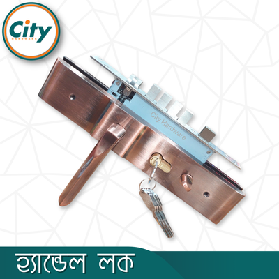 উচ্চ সুরক্ষার বড় আকারের হ্যান্ডেল লক অতিরিক্ত নব সহ প্রধান দরজার জন্য অ্যান্টিক রঙের দরজার লক Door Lock_img_1
