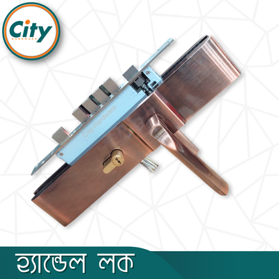 উচ্চ সুরক্ষার বড় আকারের হ্যান্ডেল লক অতিরিক্ত নব সহ প্রধান দরজার জন্য অ্যান্টিক রঙের দরজার লক Door Lock_img_2