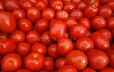 টমেটো – Tomato (টম্যাটো)/ ৫০০ গ্রাম_img_0