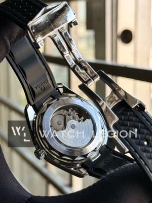 OMEGA AQUA TERRA TURQUOISE AUTO BELT_img_6