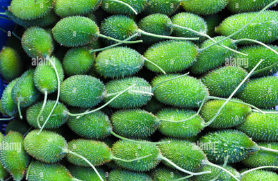 কাঁকরোল – Sweet Bitter Gourd (সুইট বিটার গোর্ড)/ ১ কেজি_img_0