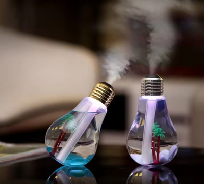 Bulb Humidifier_img_0