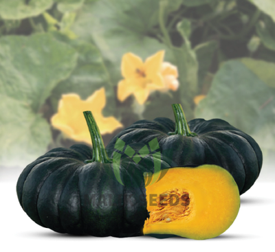 মিষ্টি কুমড়া – Pumpkin (পামকিন)/pcs_img_0