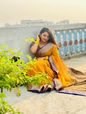 Elegant Mustard Yellow Handloom Saree with Silver Zari Border_img_5