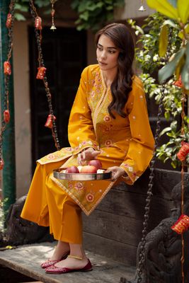 Salwar kameez_img_0