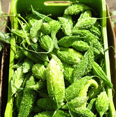 করলা – Balsam Apple (বোলসাম এ্যাপেল) / ১ কেজি_img_0