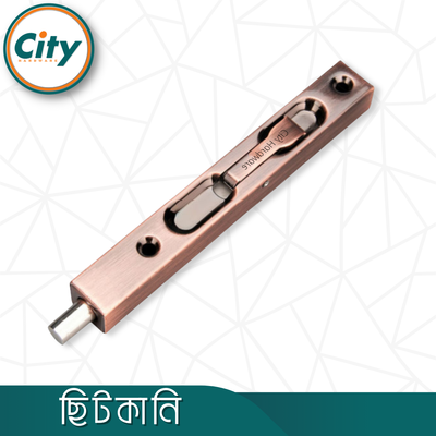 ৮ ইঞ্চি স্টেইনলেস স্টিল ফ্লাশ মাউন্ট টাওয়ার বোল্ট কনসিল টাওয়ার বোল্ট ফোল্ডিং ডোর বোল্ট অ্যান্টিক রঙের_img_1