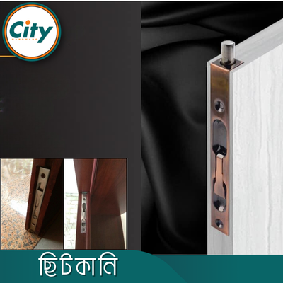 ৮ ইঞ্চি স্টেইনলেস স্টিল ফ্লাশ মাউন্ট টাওয়ার বোল্ট কনসিল টাওয়ার বোল্ট ফোল্ডিং ডোর বোল্ট অ্যান্টিক রঙের_img_5