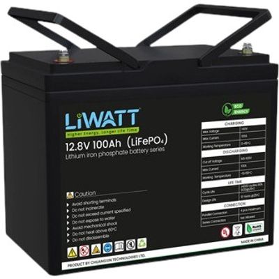 Liwatt Lithium Battery 12V (100Ah)_img_0