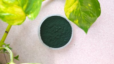 spirulina powder_img_1