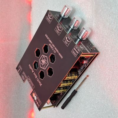 Sini Audio XY-T3002P 300W+300W TPA3255 Hifi Amplifier_img_0