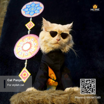 cat panjabi_img_1