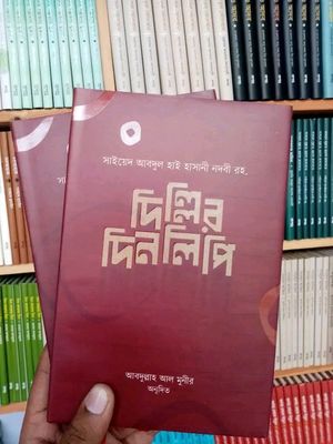 দিল্লির দিনলিপি_img_0