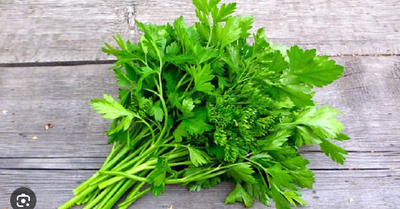 ধনেপাতা (Coriandrum sativum) / ~ ১ মুঠো  (আনুমানিক ১২০ থেকে ১৫০ গ্রাম )_img_0