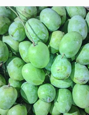 আম (ল্যাংড়া-1kg) ফরমালিন মুক্ত_img_4
