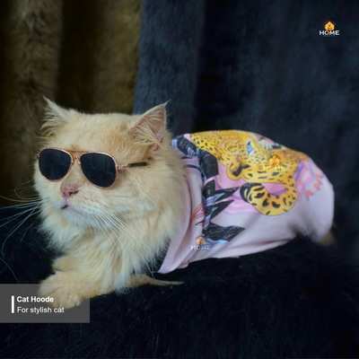 cat t-shirt (9,8 kg)_img_1