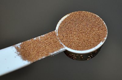 Live Food brine shrimp egg ( 20 grm)_img_0