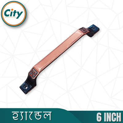 ৬ ইঞ্চি কালারিং দরজা হ্যান্ডেল আসবাবপত্র হ্যান্ডেল স্টাইলিশ পুল হ্যান্ডেল অনেক ডিজাইন উপলব্ধ_img_1