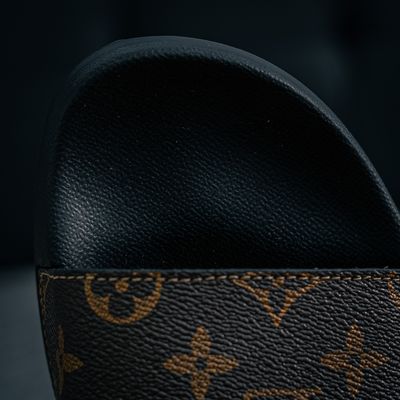 Louis Vuitton Waterfront Mules (1:1)_img_6