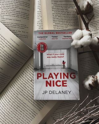 Playing Nice by Jp Delaney_img_0