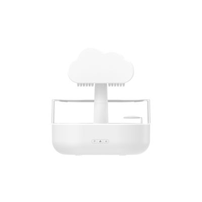 Raindrop Humidifier 🌧️_img_4