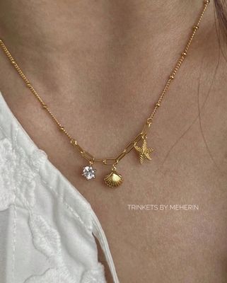 Beach shell neckpiece_img_0