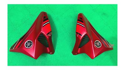 Tanky Kan for Yamaha FZS V2 (Mat Red) Bike._img_1
