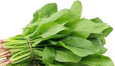 পালং শাকের Spinach (স্পিনাচ)/প্রতি কেজি_img_0