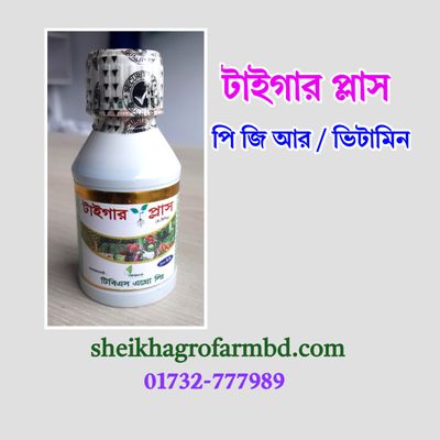 টাইগার প্লাস (পি জি আর/ ভিটামিন)_img_0