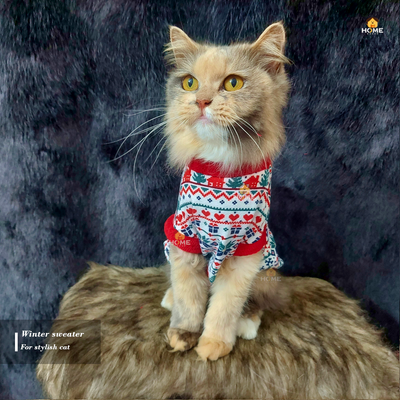 cat t-shirt_img_2