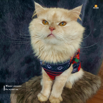 cat t-shirt_img_5